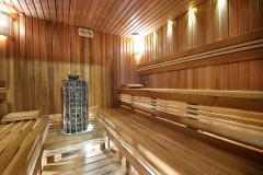 Sauna Vila Moldavia Class2